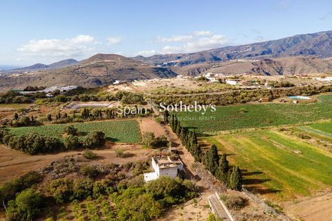 Villa a Telde, Gran Canaria, Telde - € 12.000.000 | Ref: 326391 - foto 35