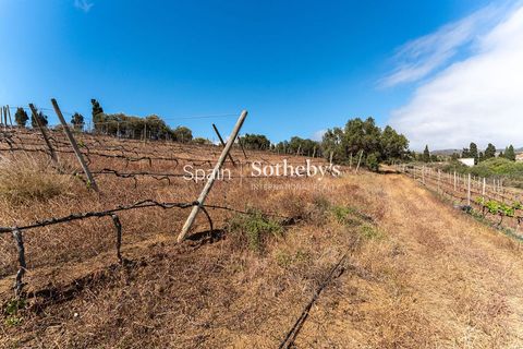 Villa a Telde, Gran Canaria, Telde - € 12.000.000 | Ref: 326391 - foto 39