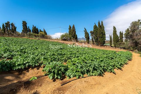Villa a Telde, Gran Canaria, Telde - € 12.000.000 | Ref: 326391 - foto 42