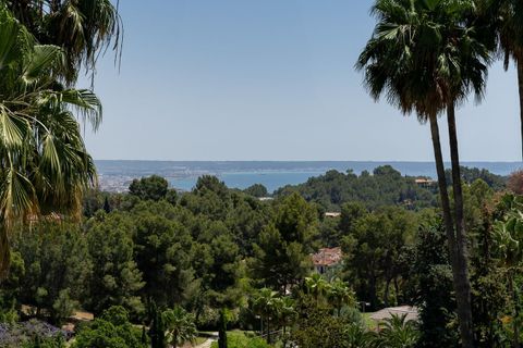 Villa i Son Vida, Mallorca, Son Vida - € 27.500.000 | Ref: 32774 - foto 37