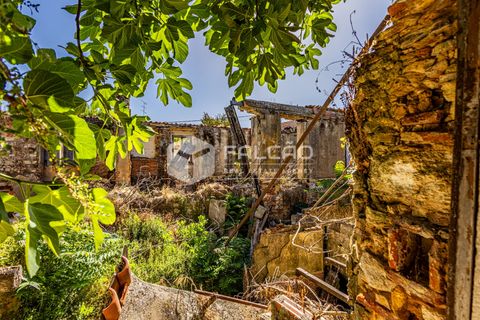 Villa i Santarem, Santarem, Santarem - € 240.000 | Ref: FR1129 - foto 12