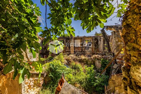 Villa i Santarem, Santarem, Santarem - € 240.000 | Ref: FR1129 - foto 13