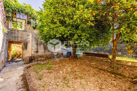 Villa i Santarem, Santarem, Santarem - € 240.000 | Ref: FR1129 - foto 16