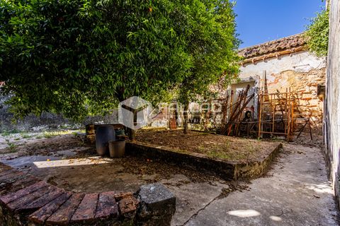 Villa i Santarem, Santarem, Santarem - € 240.000 | Ref: FR1129 - foto 17