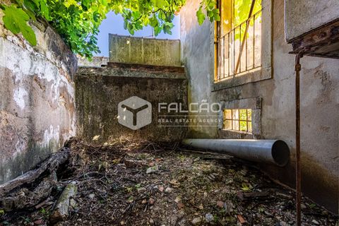 Villa i Santarem, Santarem, Santarem - € 240.000 | Ref: FR1129 - foto 18