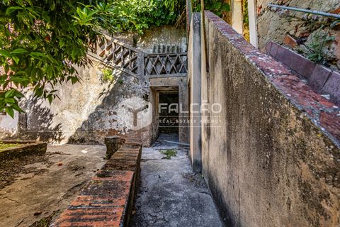 Villa i Santarem, Santarem, Santarem - € 240.000 | Ref: FR1129 - foto 20