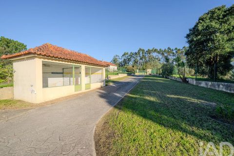 Byhus i Leiria, Leiria, Leiria - € 630.000 | Ref: 781314 - foto 32