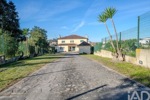 Byhus i Leiria, Leiria, Leiria - € 630.000 | Ref: 781314 - foto 37