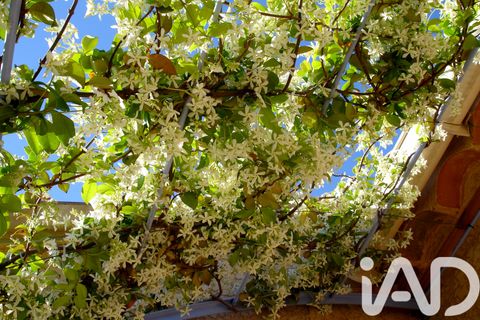 Villa a Mazan, Vaucluse, Mazan - € 545.000 | Ref: 49467 - foto 5