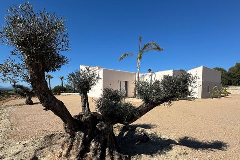 Landejendom i Manacor, Mallorca, Manacor - € 2.290.000 | Ref: 5538027 - LF1041 - foto 2