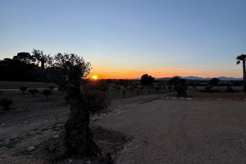 Landejendom i Manacor, Mallorca, Manacor - € 2.290.000 | Ref: 5538027 - LF1041 - foto 8