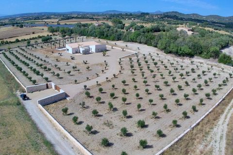 Landejendom i Manacor, Mallorca, Manacor - € 2.290.000 | Ref: 5538027 - LF1041 - foto 9