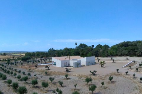Landejendom i Manacor, Mallorca, Manacor - € 2.290.000 | Ref: 5538027 - LF1041 - foto 14