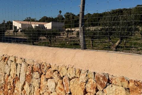 Landejendom i Manacor, Mallorca, Manacor - € 2.290.000 | Ref: 5538027 - LF1041 - foto 33