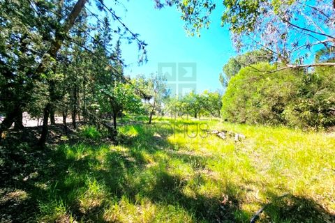 Villa a Santarem, Santarem, Santarem - € 1.580.000 | Ref: CAS_4309 - foto 49