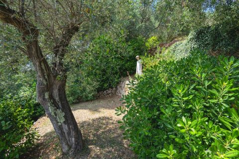 Villa i Grasse, Alpes-Maritimes, Grasse - € 1.590.000 | Ref: HH-16206670 - foto 24