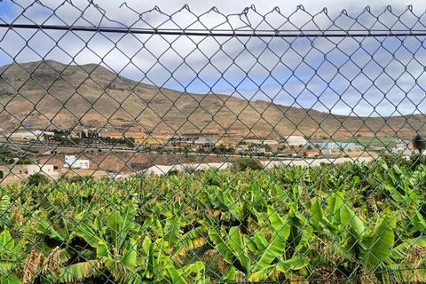 Terra a Galdar, Gran Canaria, Galdar - € 52.000 | Ref: EXP14748/8930 - foto 20