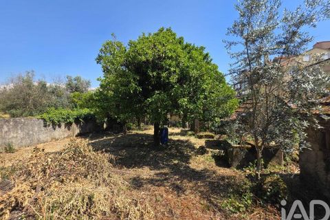 Bungalow i Carregal do Sal, Viseu, Carregal do Sal - € 195.000 | Ref: 940692 - foto 19
