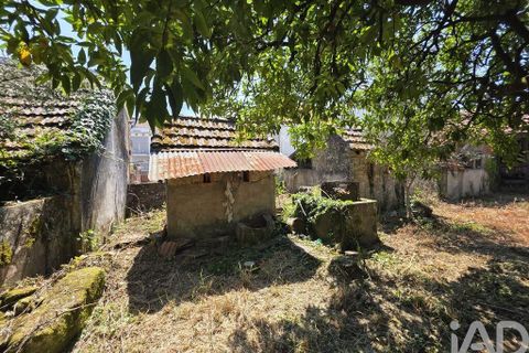 Bungalow i Carregal do Sal, Viseu, Carregal do Sal - € 195.000 | Ref: 940692 - foto 21