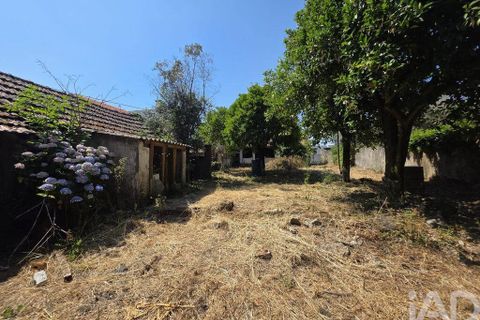 Bungalow i Carregal do Sal, Viseu, Carregal do Sal - € 195.000 | Ref: 940692 - foto 22