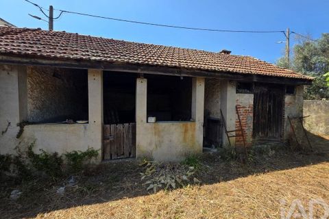 Bungalow i Carregal do Sal, Viseu, Carregal do Sal - € 195.000 | Ref: 940692 - foto 23
