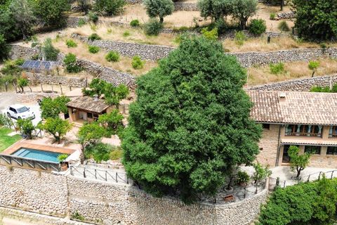 Landejendom i Fornalutx, Mallorca - foto 1