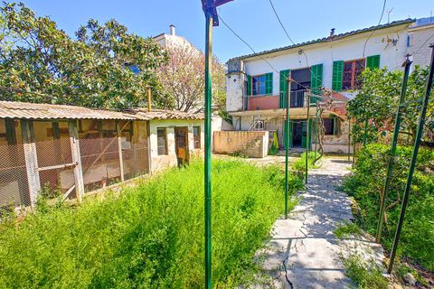 Villa en Soller, Mallorca, Soller - € 650.000 | Ref: 3069 - photo 13