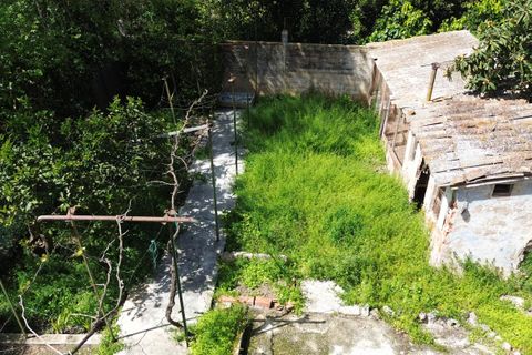 Villa en Soller, Mallorca, Soller - € 650.000 | Ref: 3069 - photo 30