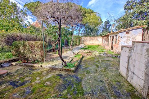 Villa en Soller, Mallorca, Soller - € 650.000 | Ref: 3069 - photo 39
