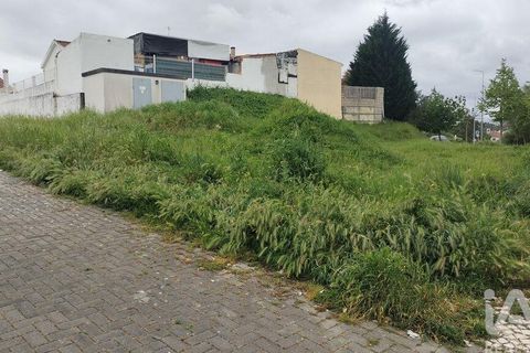 Terra a Santarem, Santarem, Santarem - € 155.000 | Ref: 949554 - foto 6