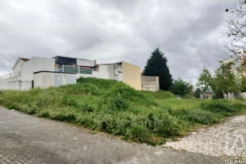 Terra a Santarem, Santarem, Santarem - € 155.000 | Ref: 949554 - foto 7