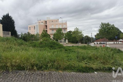 Terra a Santarem, Santarem, Santarem - € 155.000 | Ref: 949554 - foto 10