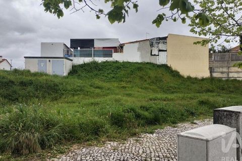 Terra a Santarem, Santarem, Santarem - € 155.000 | Ref: 949554 - foto 12