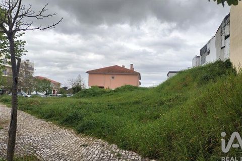Terra a Santarem, Santarem, Santarem - € 155.000 | Ref: 949554 - foto 13