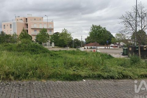 Terra a Santarem, Santarem, Santarem - € 155.000 | Ref: 949554 - foto 14