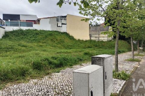 Terra a Santarem, Santarem, Santarem - € 155.000 | Ref: 949554 - foto 15