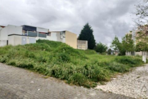 Terra a Santarem, Santarem, Santarem - € 155.000 | Ref: 949554 - foto 18