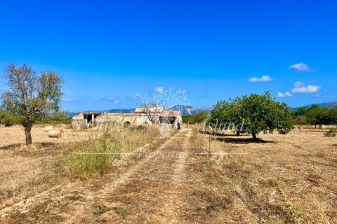 Terra a Binissalem, Mallorca, Binissalem - € 880.000 | Ref: INC582 - foto 2