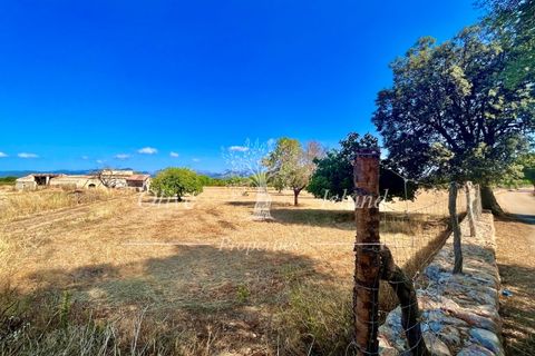 Terra a Binissalem, Mallorca, Binissalem - € 880.000 | Ref: INC582 - foto 3