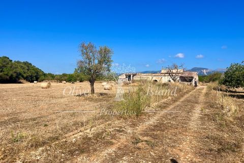 Terra a Binissalem, Mallorca, Binissalem - € 880.000 | Ref: INC582 - foto 5