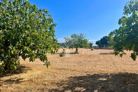 Terra a Binissalem, Mallorca, Binissalem - € 880.000 | Ref: INC582 - foto 10