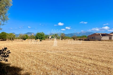 Terra a Binissalem, Mallorca, Binissalem - € 880.000 | Ref: INC582 - foto 12
