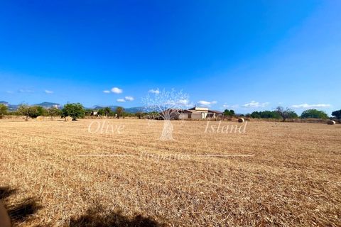 Terra a Binissalem, Mallorca, Binissalem - € 880.000 | Ref: INC582 - foto 13
