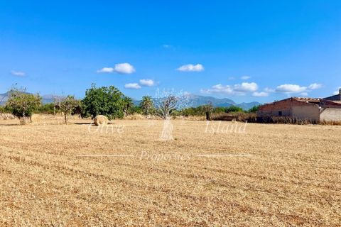 Terra a Binissalem, Mallorca, Binissalem - € 880.000 | Ref: INC582 - foto 14