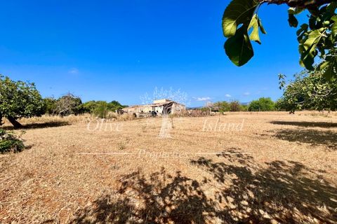 Terra a Binissalem, Mallorca, Binissalem - € 880.000 | Ref: INC582 - foto 17