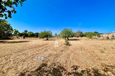 Terra a Binissalem, Mallorca, Binissalem - € 880.000 | Ref: INC582 - foto 19