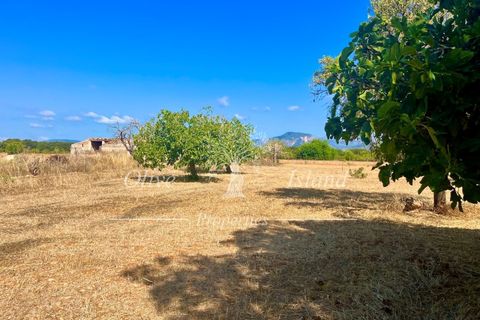 Terra a Binissalem, Mallorca, Binissalem - € 880.000 | Ref: INC582 - foto 21