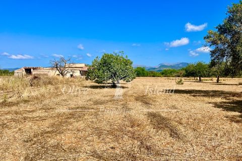 Terra a Binissalem, Mallorca, Binissalem - € 880.000 | Ref: INC582 - foto 22