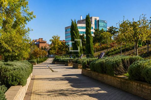 Lejlighed i Madrid, Madrid, Madrid - € 4.800.000 | Ref: MAD70183 - foto 17