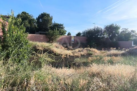 Terra a Madrid, Madrid, Madrid - € 138.000 | Ref: 946616 - foto 7